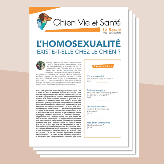 Revue n°23 - Homosexualité, ration ménagère, autocontrôles, mauvaise odeur