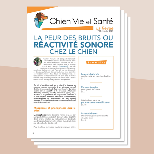 Revue n°24 - Réactivité sonore, ration ménagère, chien attentif, mycothérapie