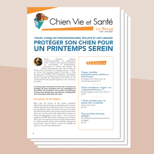 Revue n°26 - Printemps, hyperactivité, ration ménagère, stress