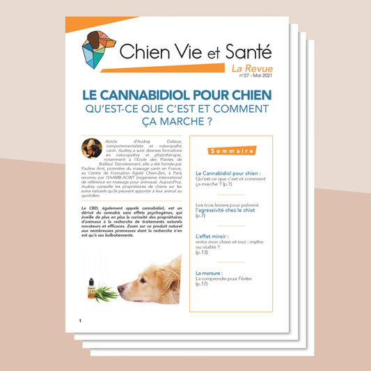 Revue n°27 - Cannabidiol, agressivité, effet miroir, morsure