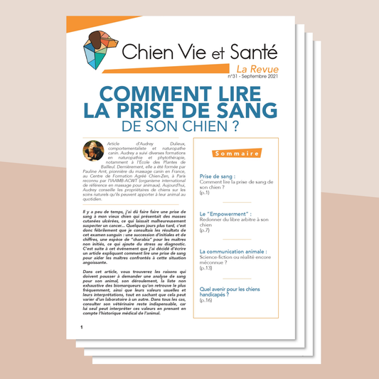 Revue n°31 - Prise de sang, empowerment, communication animale, handicap
