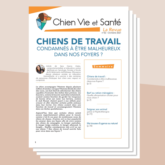 Revue n°32 - Chiens de travail, alimentation naturelle, hydrothérapie, trousse d'urgence naturelle