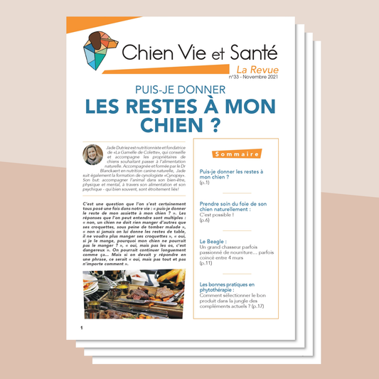 Revue n°33 - Alimentation, soin du foie, Beagle, phytothérapie