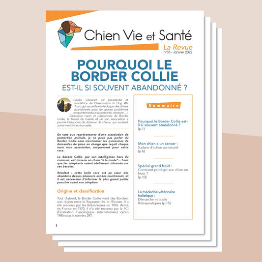 Revue n°35 - Border Collie, cancer, hiver, médecine vétérinaire holistique