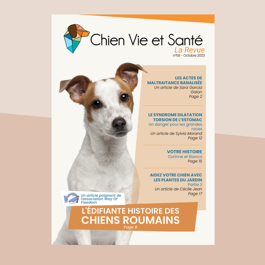 Revue n°56 – Maltraitance banalisée, Chiens roumains, SDTE, Plantes du jardin
