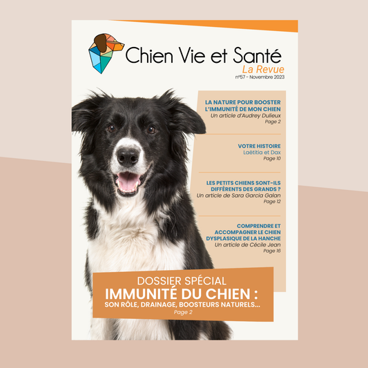 Revue n°57 – Immunité du chien, Petits chiens, Dysplasie de la hanche