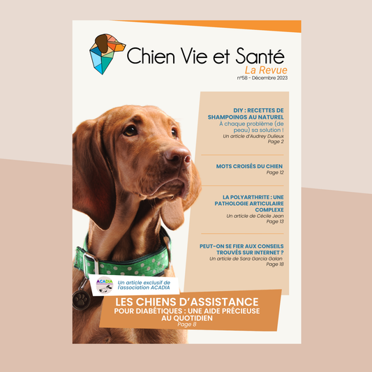 Revue n°58 – Shampoings naturels, Chiens d’assistance, Polyarthrite, Conseils internet