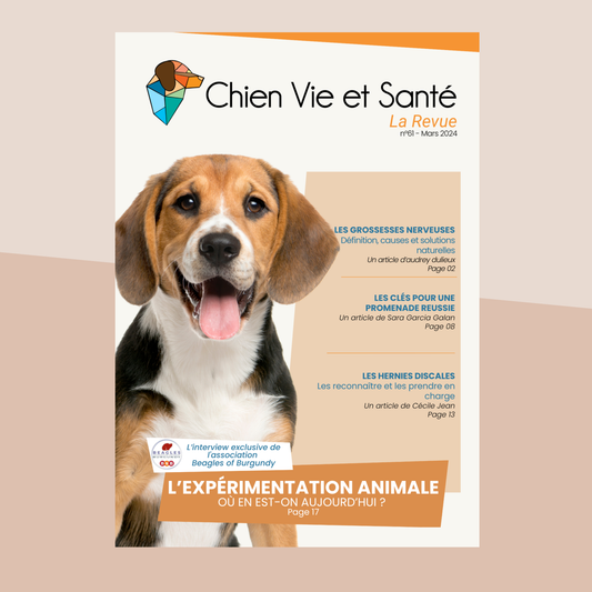 Revue n°61 – Grossesses nerveuses, Promenades réussies, Hernies discales, Expérimentation animale