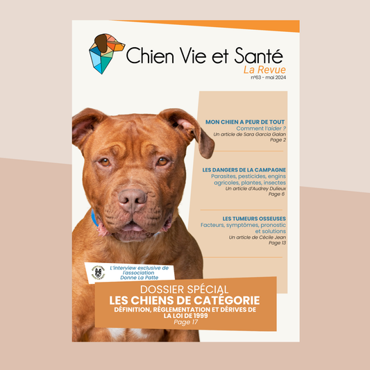 Revue n°63 – Chien peureux, Dangers de la campagne, Tumeurs osseuses, Chiens de catégorie