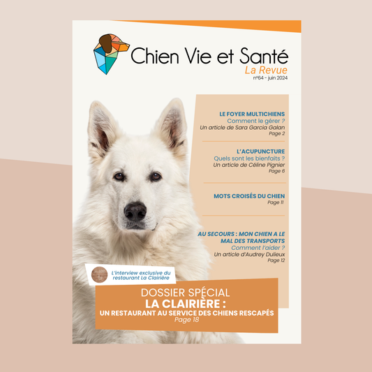 Revue n°64 – Foyer multichiens, Acupuncture canine, Mal des transports, Restaurant La Clairière
