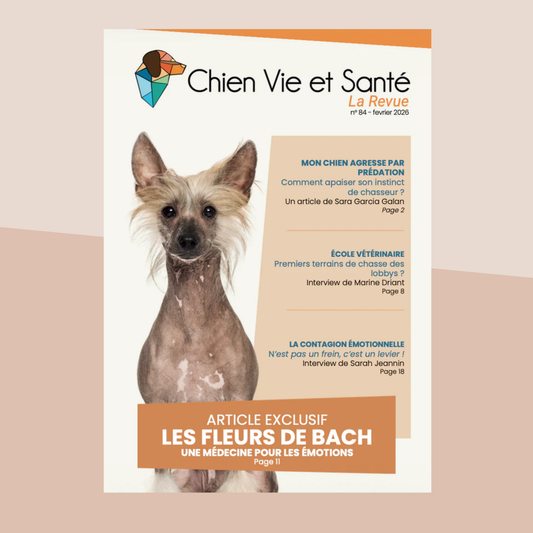 Abonnement à la Revue Chien Vie et Santé (Numérique Uniquement)