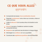 Socialiser son chien (aux humains, congénères, autres espèces)