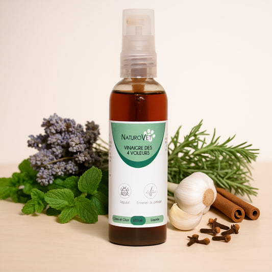 Vinaigre des 4 Voleurs