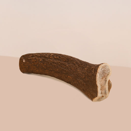 Bois de Cerf entier