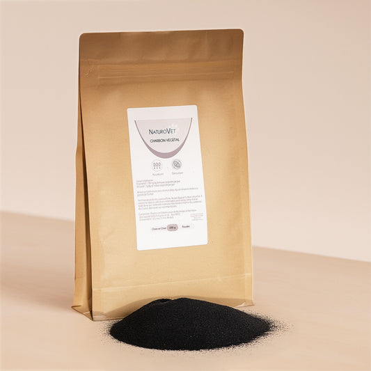 Charbon Végétal en Poudre