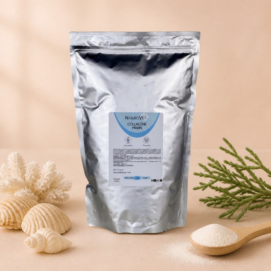 Sachet de collagène marin en poudre NaturoVet pour chien et chat, avec coquillages, corail blanc et cuillère en bois de poudre.