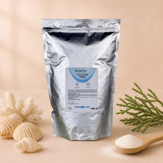 Sachet de collagène marin en poudre NaturoVet pour chien et chat, avec coquillages, corail blanc et cuillère en bois de poudre.