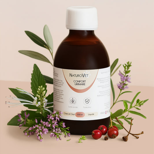 Complexe confort urinaire (Liquide)