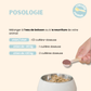 Synergie Croissance
