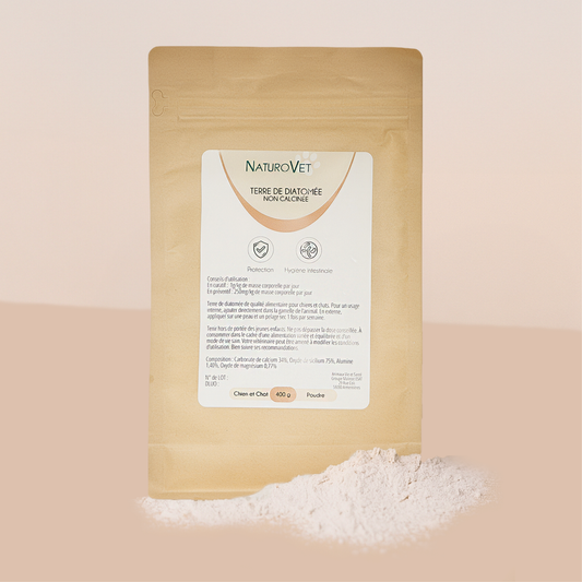 Terre de Diatomée (Sachet 400g)