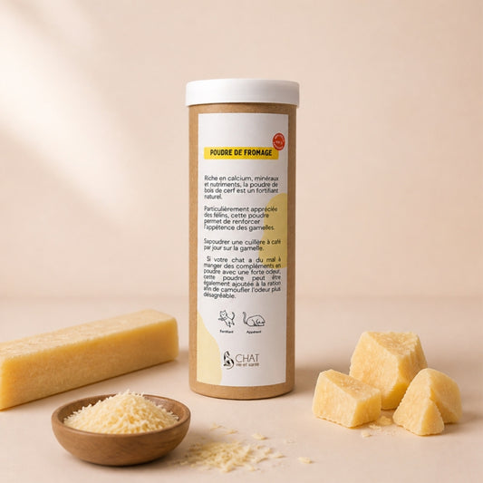 Tube distributeur de poudre de fromage, avec bâton de fromage d'Himalaya, morceaux de fromage et bol de copeaux.