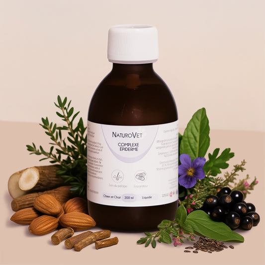 Complexe Épiderme (Liquide)