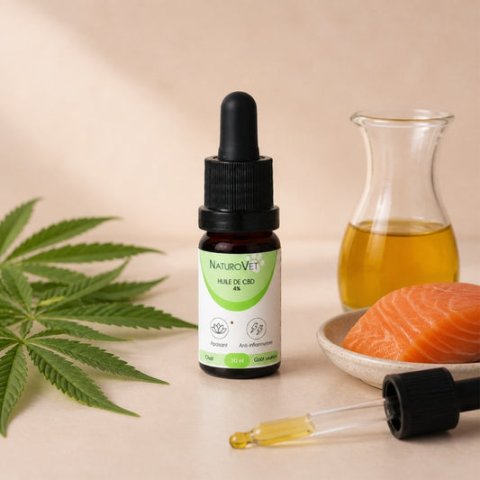 Flacon compte-gouttes d'huile de CBD 4 % NaturoVet pour chat, goût saumon, à côté de feuilles de chanvre, d'huile MCT et de saumon frais.