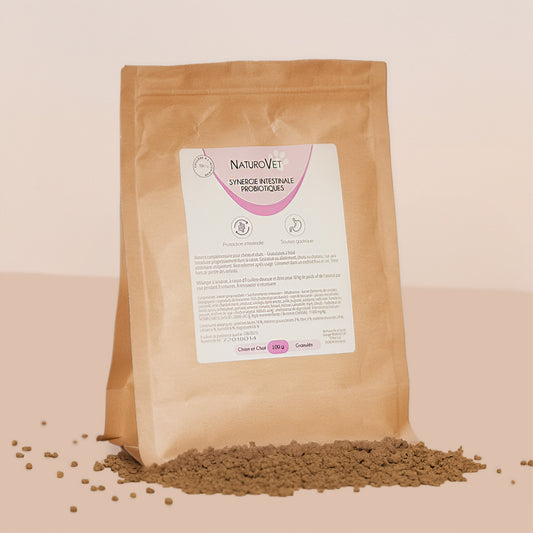 Synergie Intestinale Probiotiques