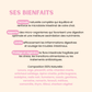 Synergie Intestinale Probiotiques