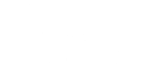 Logo Animaux Vie et Santé
