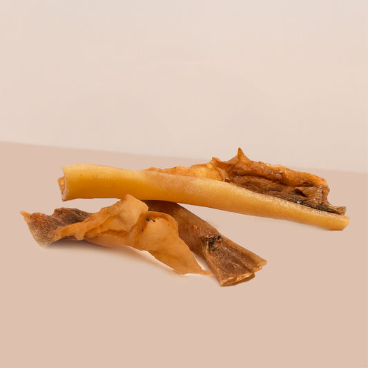 Masques de bœuf