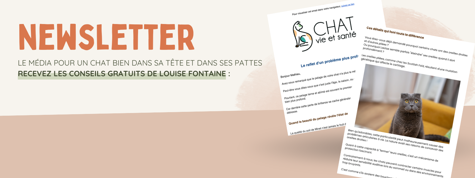 Newsletter Chat Vie et Santé