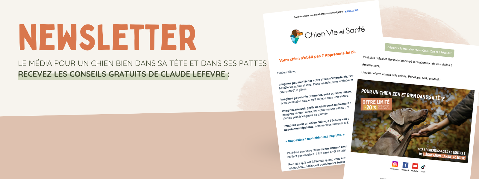 Newsletter Chien Vie et Santé
