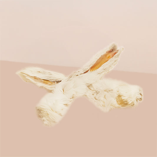 Oreilles de lapin avec poils