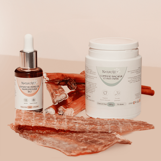 Pack Hygiène Dentaire