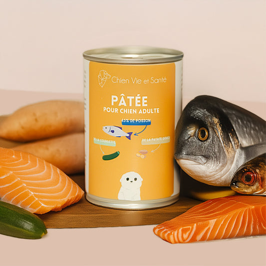 Pâtée riche en saumon & courgette