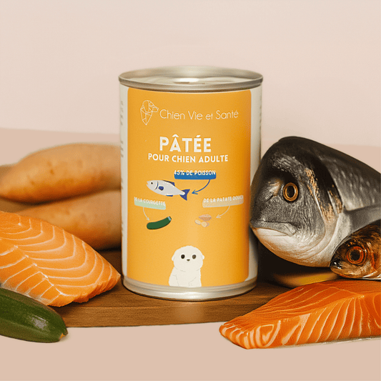 Pâtée au saumon & courgette