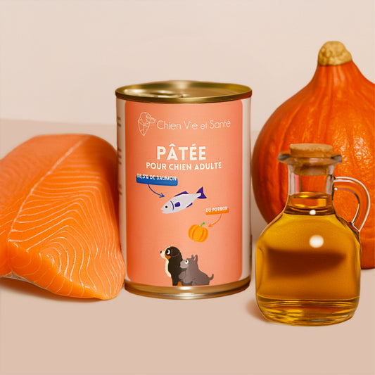 Pâtée riche en saumon & potiron