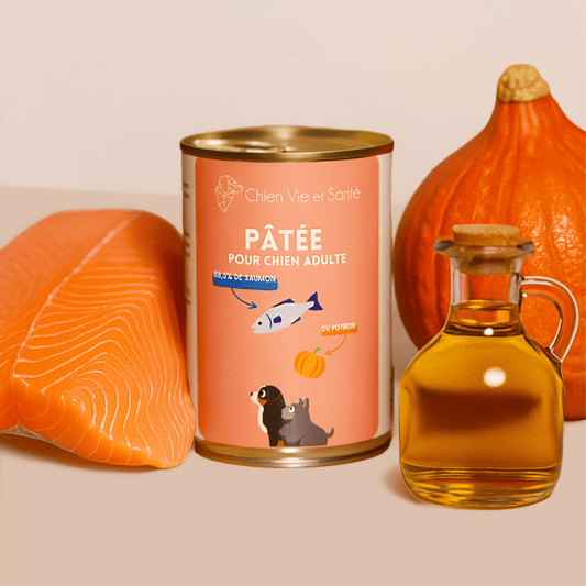 Pâtée au saumon & potiron