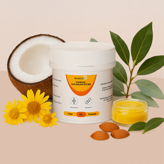 Pommade anti-inflammatoire