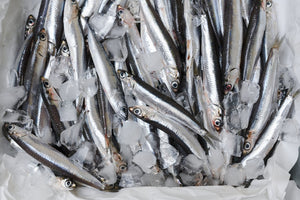 Huile d’anchois & sardines