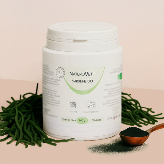 Spiruline Bio