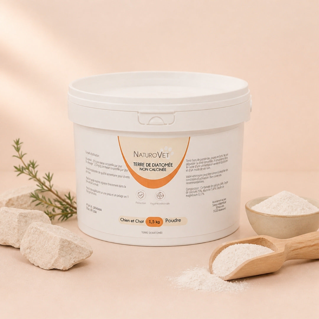Seau de terre de diatomée non calcinée NaturoVet 1,5 kg pour chien et chat, avec pierres de diatomite et pelle en bois remplie de poudre.