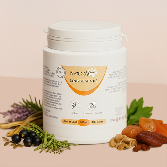 Synergie Vitalité