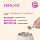 Synergie Bonne Vue